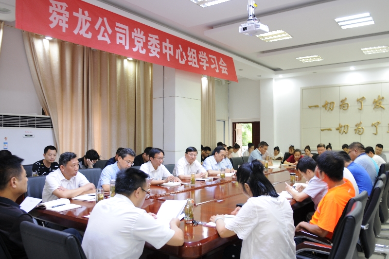 舜龍公司召開“講忠誠、嚴紀律、立政德”專題警示教育動員會